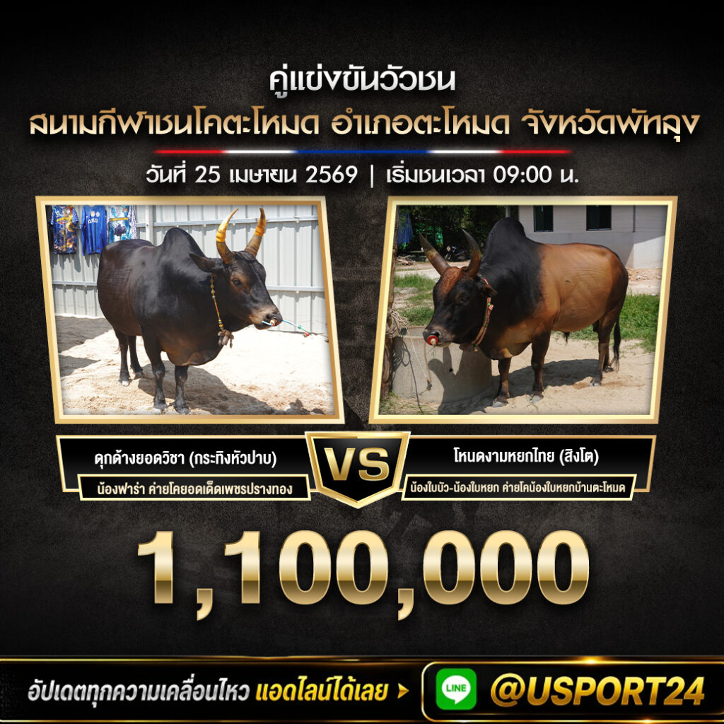 วัวชน