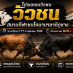 โปรแกรมวัวชน สนามกีฬาชนโคนานาชาติภูซาง 17 พ.ค. 69 เริ่มชนเวลา 10:30 น.