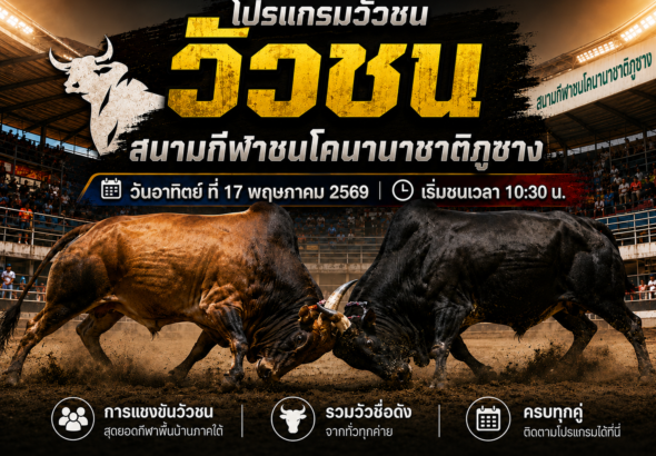 โปรแกรมวัวชน สนามกีฬาชนโคนานาชาติภูซาง 17 พ.ค. 69 เริ่มชนเวลา 10:30 น.