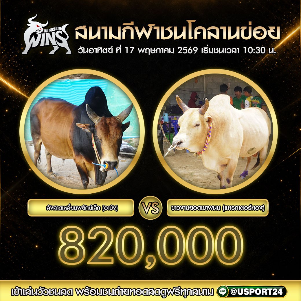 โปรแกรมวัวชน สนามกีฬาชนโคลานข่อย