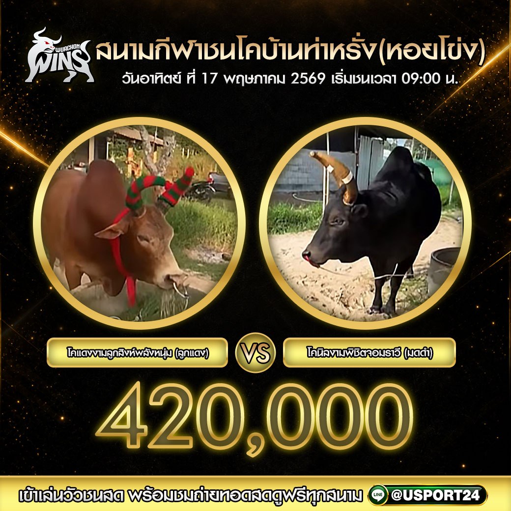 โปรแกรมวัวชน สนามกีฬาชนโคท่าหรั่ง 17 พ.ค. 2569 เริ่มชน 10:30 น.