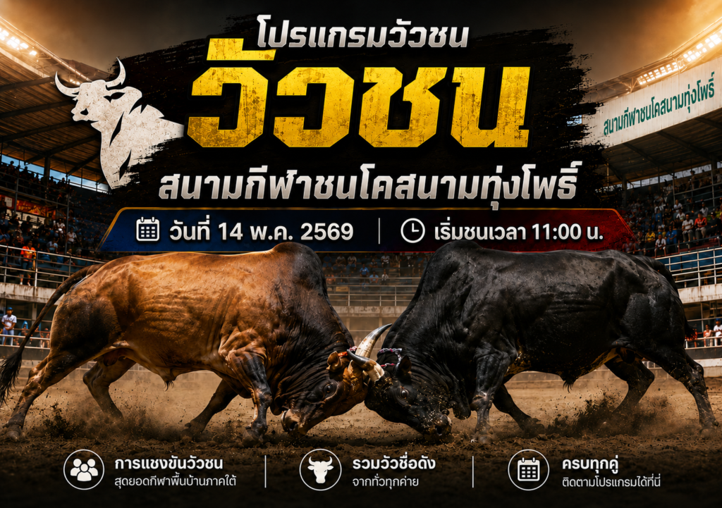 โปรแกรมวัวชน สนามทุ่งโพธิ์ 14 พ.ค. 2569