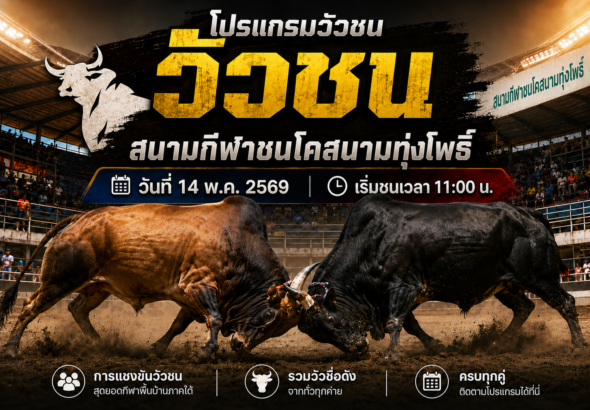 โปรแกรมวัวชน สนามทุ่งโพธิ์ 14 พ.ค. 2569