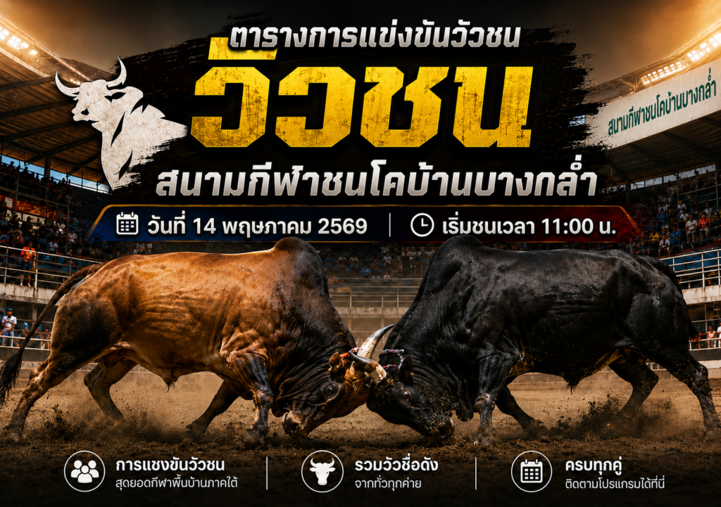 สนามกีฬาชนโคสนามบ้านบางกล่ำ โดยกำหนดเริ่มชนเวลา 11:00 น.