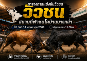 สนามกีฬาชนโคสนามบ้านบางกล่ำ โดยกำหนดเริ่มชนเวลา 11:00 น.