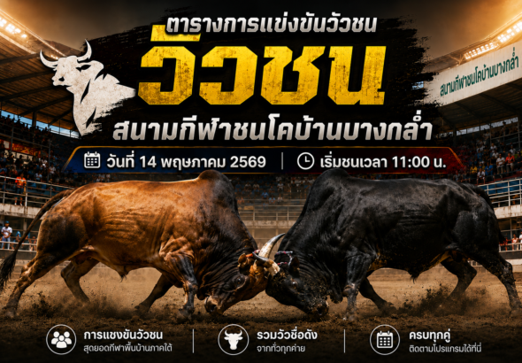 สนามกีฬาชนโคสนามบ้านบางกล่ำ โดยกำหนดเริ่มชนเวลา 11:00 น.
