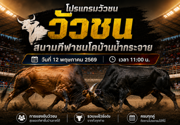 โปรแกรมวัวชน สนามกีฬาชนโคบ้านน้ำกระจาย 12 พ.ค. 2569 คู่เอกเงินล้าน