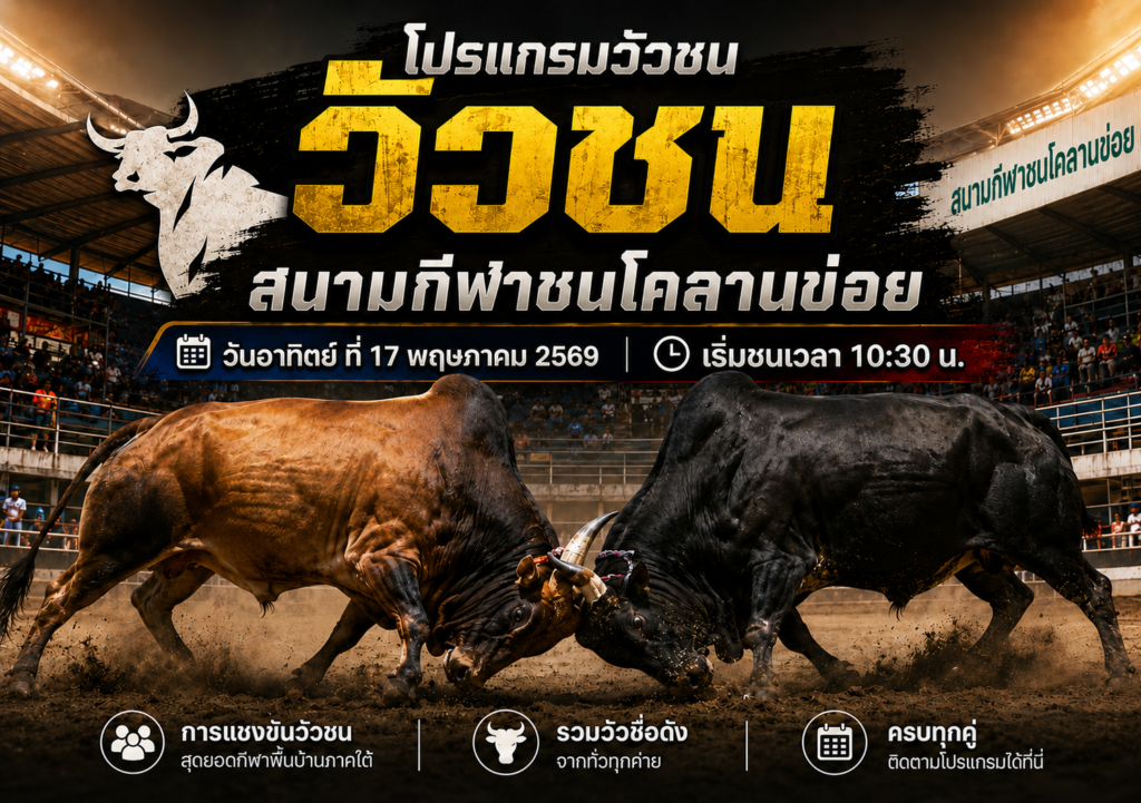 โปรแกรมวัวชน สนามกีฬาชนโคลานข่อย 17 พ.ค. 2569 เริ่มชน 10:30 น. คู่เด่นเพียบ