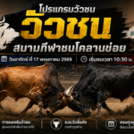 โปรแกรมวัวชน สนามกีฬาชนโคลานข่อย 17 พ.ค. 2569 เริ่มชน 10:30 น. คู่เด่นเพียบ