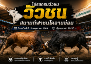 โปรแกรมวัวชน สนามกีฬาชนโคลานข่อย 17 พ.ค. 2569 เริ่มชน 10:30 น. คู่เด่นเพียบ