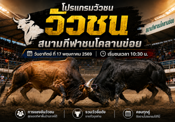 โปรแกรมวัวชน สนามกีฬาชนโคลานข่อย 17 พ.ค. 2569 เริ่มชน 10:30 น. คู่เด่นเพียบ
