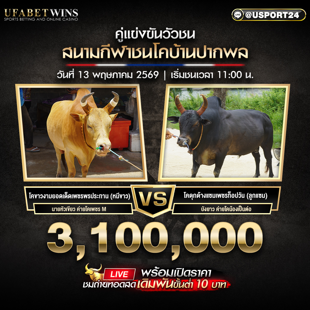 โปรแกรมวัวชน สนามกีฬาชนโคบ้านปากพล 13 พ.ค. 2569 ครบทุกคู่ชน