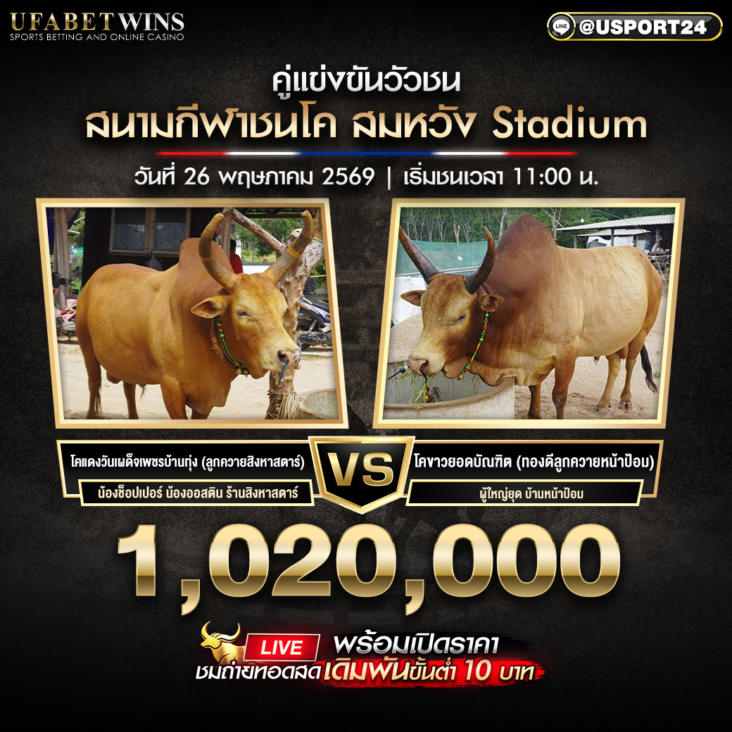 โปรแกรมวัวชน สนามชนโคสมหวังสเตเดี้ยม 26 พ.ค. 2569 เริ่มชนเวลา 11:00 น.