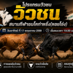 โปรแกรมวัวชน สนามกีฬาชนโคท่าหรั่ง (หอยโข่ง)