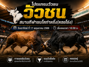 โปรแกรมวัวชน สนามกีฬาชนโคท่าหรั่ง (หอยโข่ง)