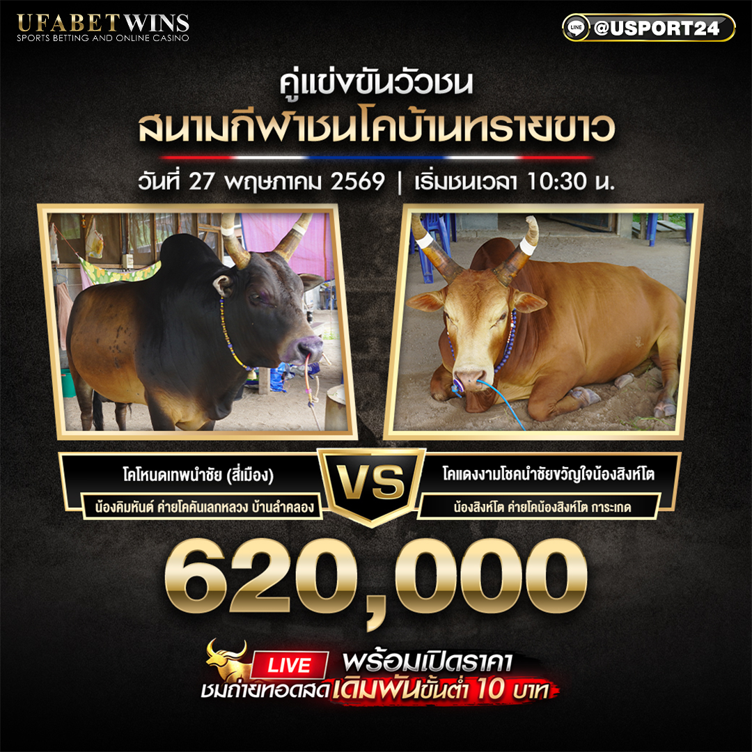 โปรแกรมวัวชน สนามกีฬาชนโคบ้านทรายขาว 27 พ.ค. 2569 เริ่มเวลา 10:30 น.