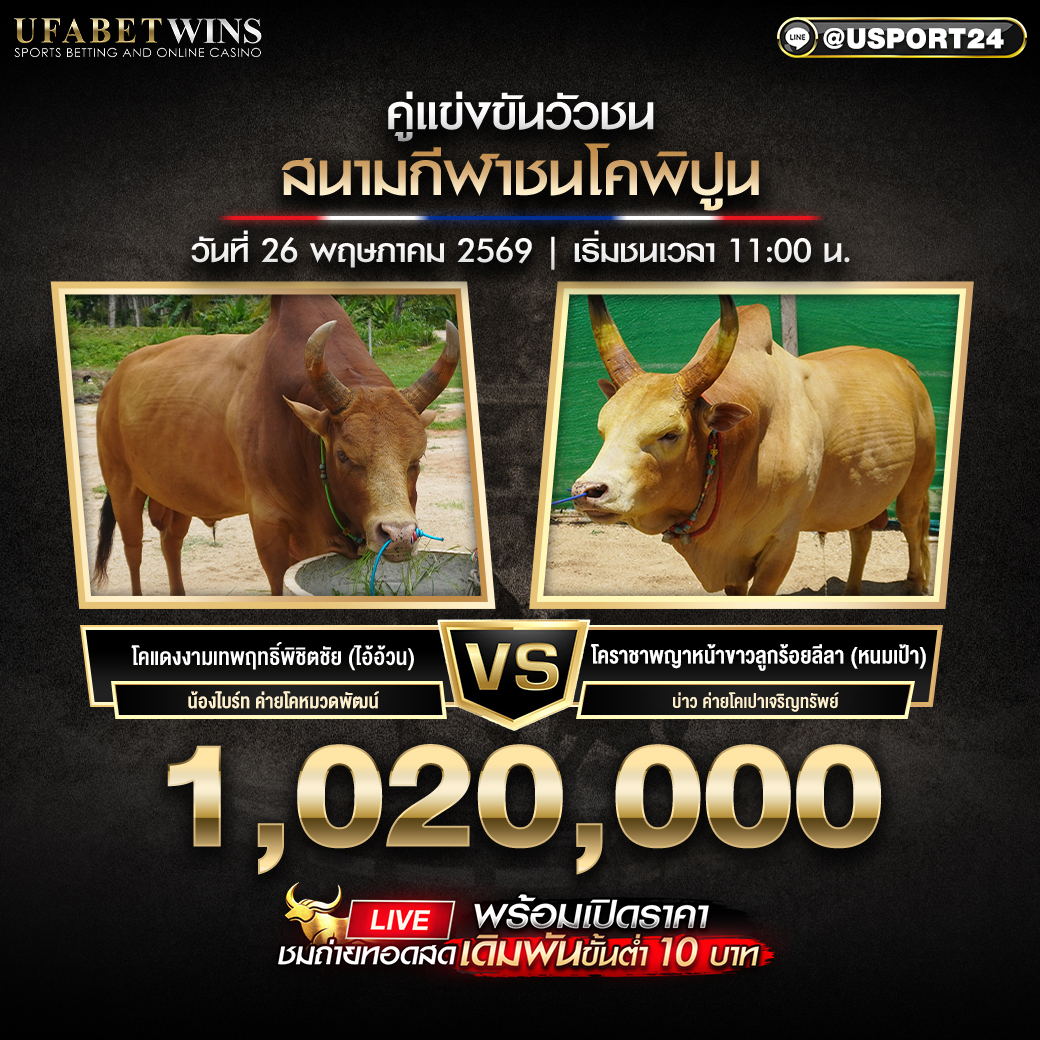 โปรแกรมวัวชน สนามกีฬาชนโคพิบูล 26 พ.ค. 2569 เริ่มชนเวลา 11:00 น.