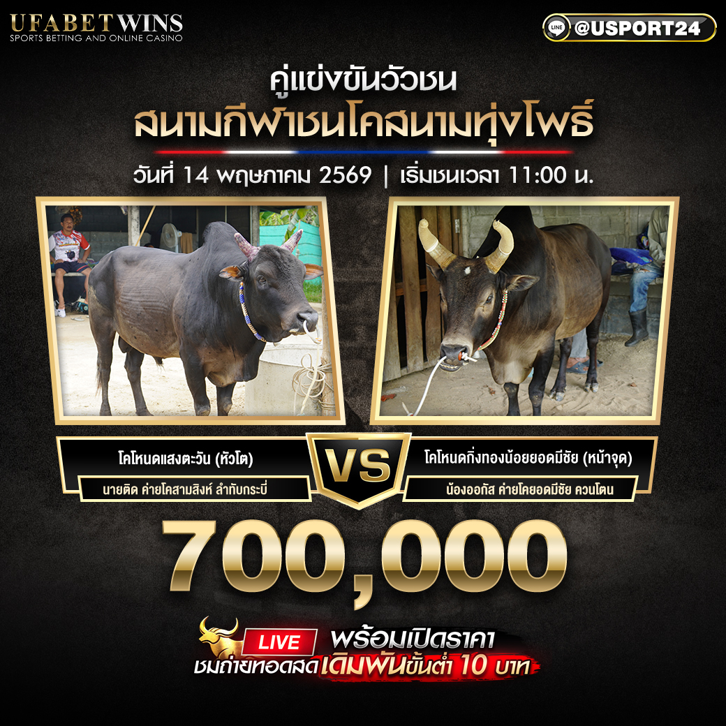 โปรแกรมวัวชน สนามทุ่งโพธิ์ 14 พ.ค. 2569 ตารางการแข่งขันครบทุกคู่ เริ่มชนเวลา 11:00 น.