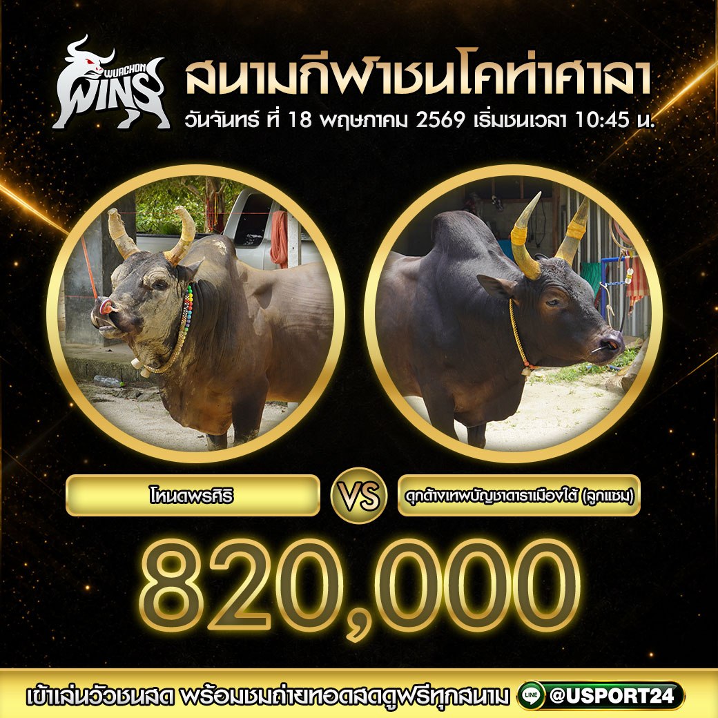 โปรแกรมวัวชน สนามกีฬาชนโคท่าศาลา