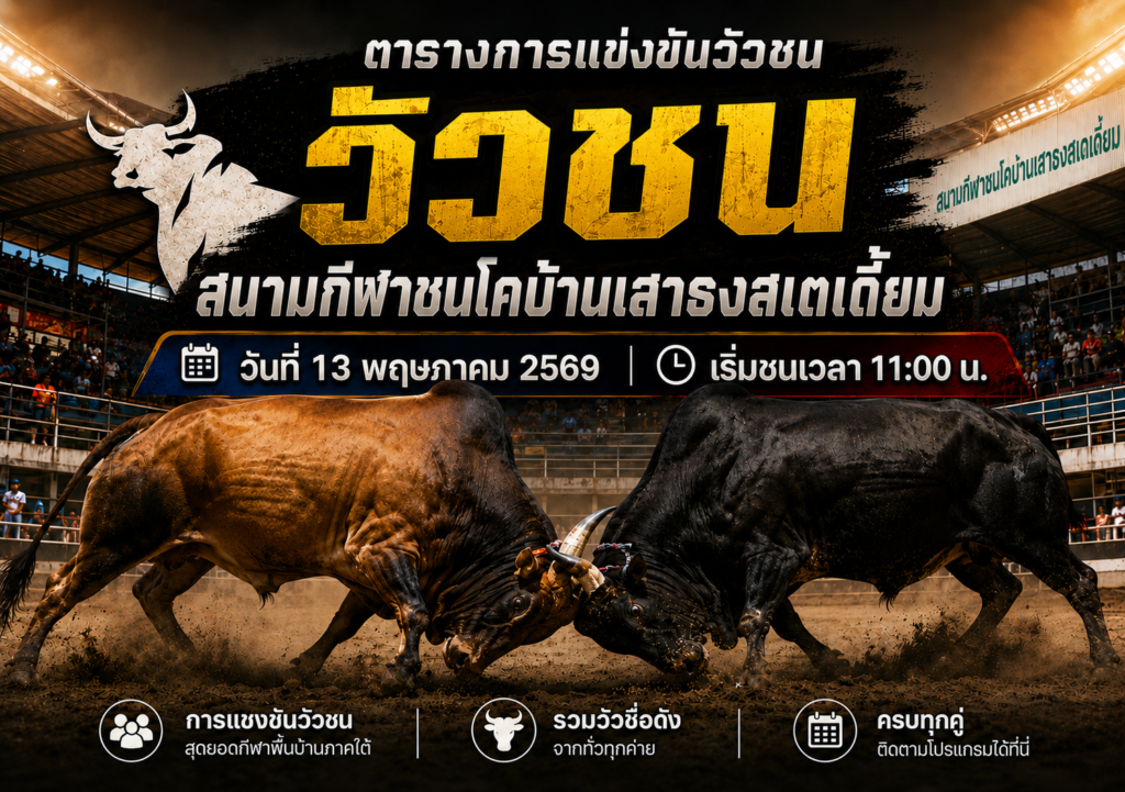 โปรแกรมวัวชน สนามกีฬาชนโคบ้านเสาธงสเตเดี้ยม 13 พ.ค. 2569