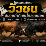 โปรแกรมวัวชน สนามกีฬาชนโคลานข่อย 18 พ.ค. 2569