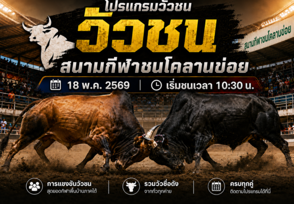 โปรแกรมวัวชน สนามกีฬาชนโคลานข่อย 18 พ.ค. 2569