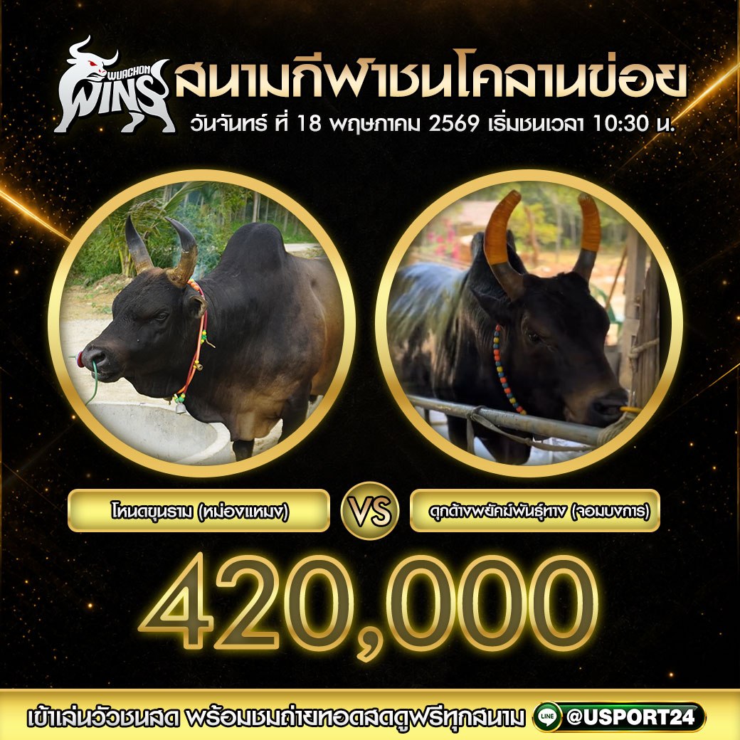ตารางโปรแกรมวัวชน สนามกีฬาชนโคลานข่อย 18 พ.ค. 2569