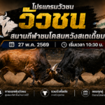 โปรแกรมวัวชน สนามกีฬาชนโคสมหวังสเตเดี้ยม 27 พ.ค. 2569 เริ่มเวลา 10:30 น.