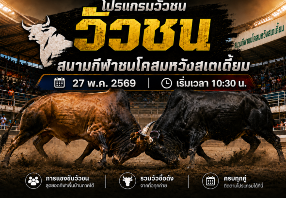 โปรแกรมวัวชน สนามกีฬาชนโคสมหวังสเตเดี้ยม 27 พ.ค. 2569 เริ่มเวลา 10:30 น.