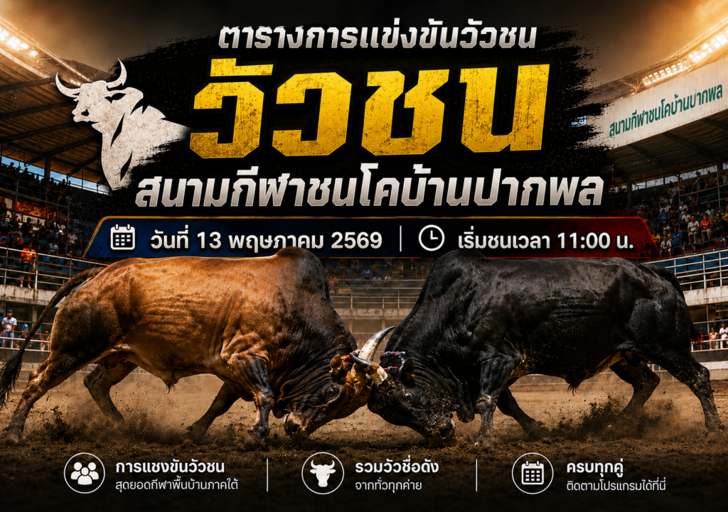 โปรแกรมวัวชน สนามกีฬาชนโคบ้านปากพล 13 พ.ค. 2569