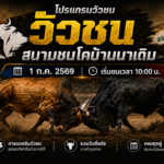 โปรแกรมวัว สนามชนโคบ้านนาเดิม วันที่ 1 ก.ค 2569