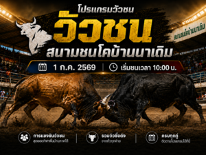 โปรแกรมวัว สนามชนโคบ้านนาเดิม วันที่ 1 ก.ค 2569