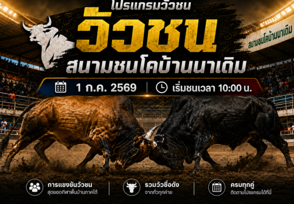 โปรแกรมวัว สนามชนโคบ้านนาเดิม วันที่ 1 ก.ค 2569