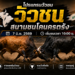 ปรแกรมวัวชน วันที่ 7 มิ.ย. 2569 สนามชนโคนครตรัง เริ่มชนเวลา 1000 น.
