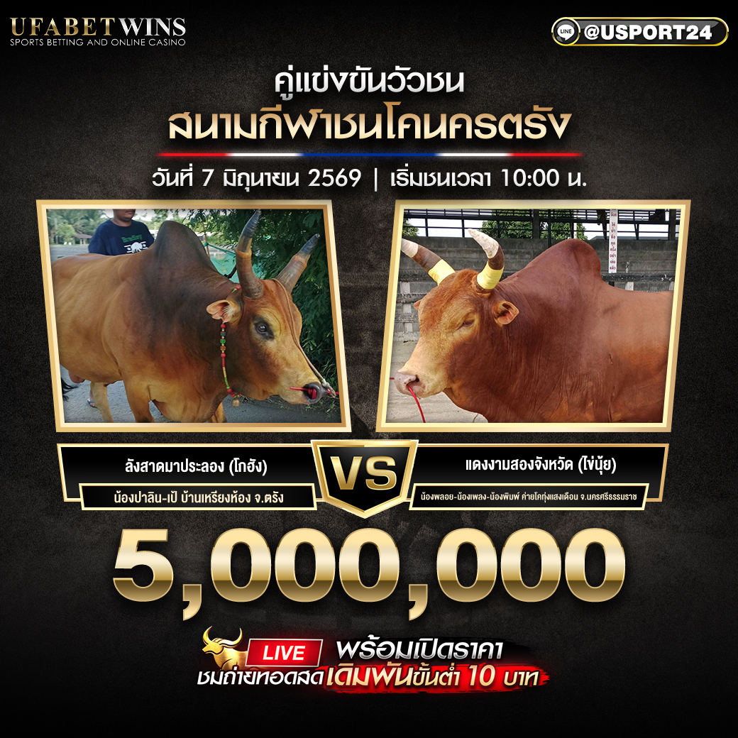 ปรแกรมวัวชน วันที่ 7 มิ.ย. 2569 สนามชนโคนครตรัง | เริ่มชนเวลา 10:00 น.