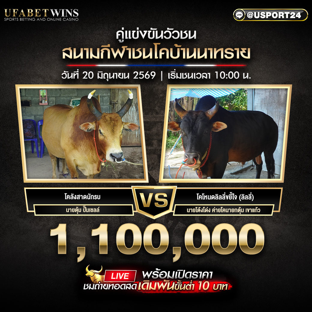 โปรแกรมวัวชน วันที่ 20 มิ.ย. 2569 สนามชนโคบ้านนาทราย | เริ่มชนเวลา 10:00 น.