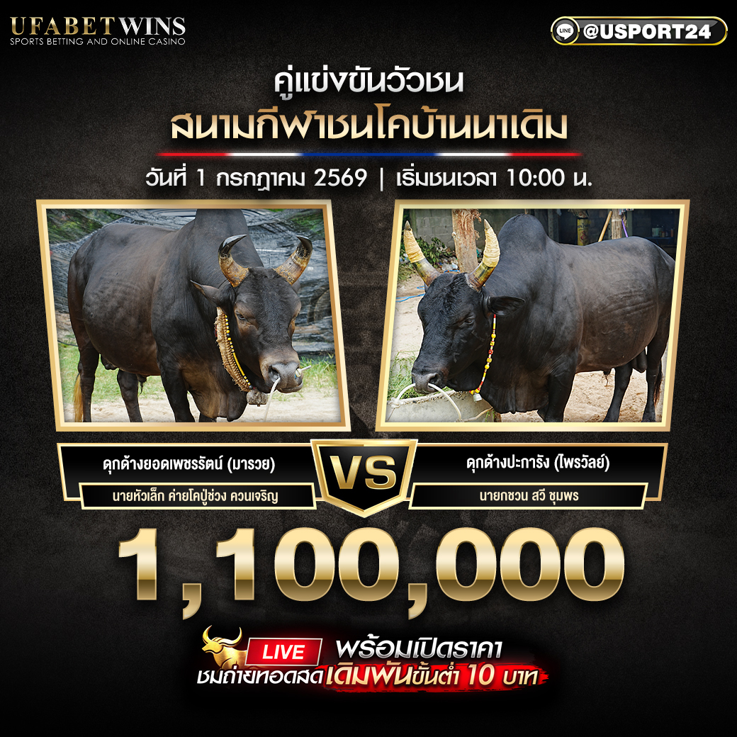 โปรแกรมวัว สนามชนโคบ้านนาเดิม วันที่ 1 ก.ค 2569 | เริ่มชนเวลา 10:00 น.