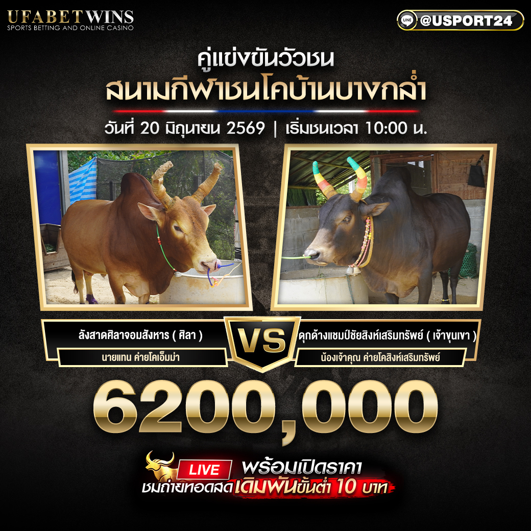 โปรแกรมวัวชน วันที่ 20 มิ.ย. 2569 สนามชนโคบ้านบางกล่ำ | เริ่มชนเวลา 10:00 น.