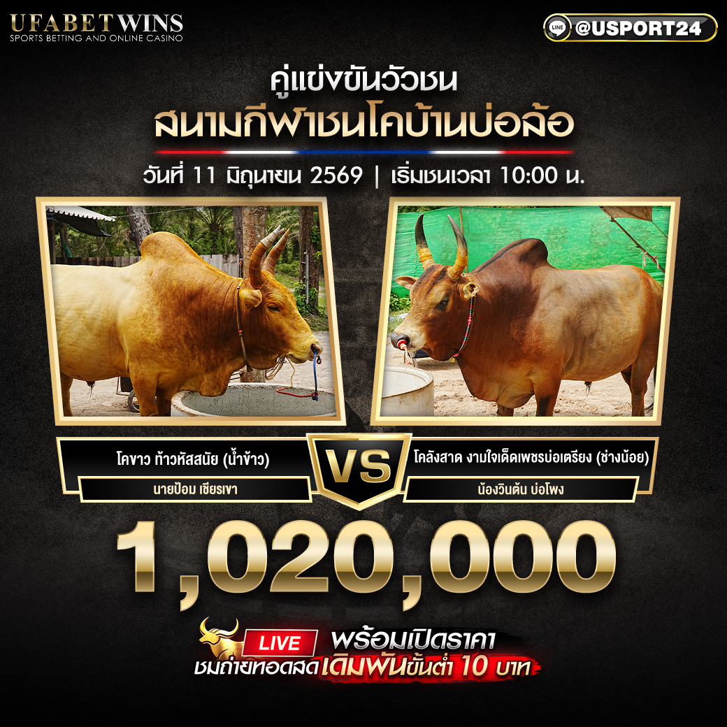 โปรแกรมวัวชน วันที่ 11 มิ.ย. 2569 สนามโคบ้านบ่อล้อ | เริ่มชนเวลา 10:00 น.
