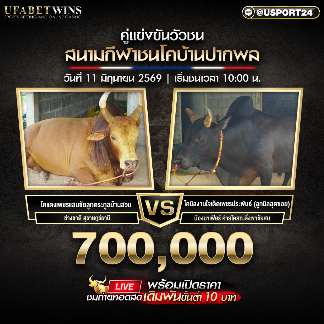 โปรแกรมวัวชน วันที่ 11 มิ.ย. 2569 สนามโคบ้านปากพล | เริ่มชนเวลา 10:00 น.