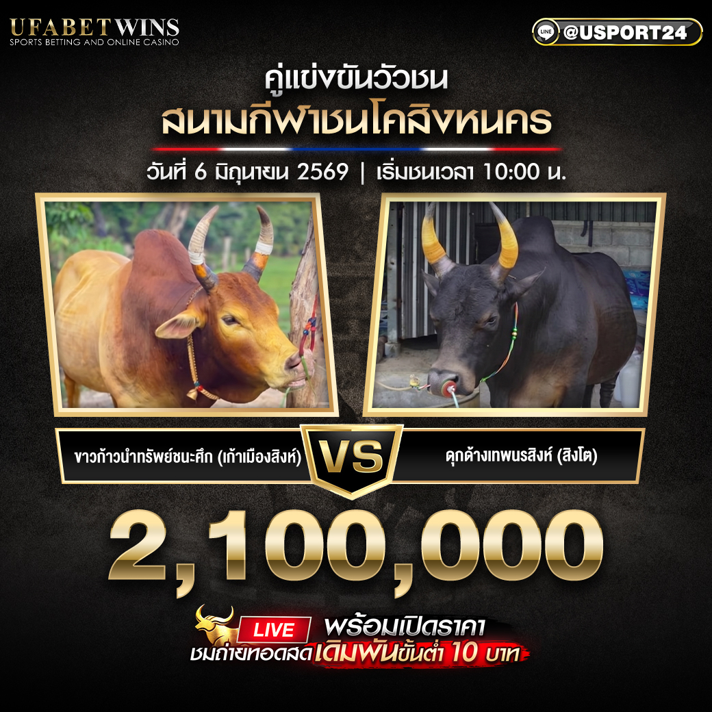 โปรแกรมวัวชน สนามชนโคสิงหนคร วันที่ 6 มิ.ย. 2569 เริ่มชนเวลา 10:00 น.