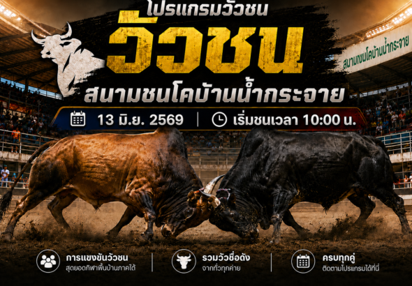โปรแกรมวัวชน วันที่ 13 มิ.ย. 2569 สนามชนโคบ้านน้ำกระจาย | เริ่มชนเวลา 10:00 น.