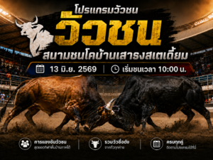 โปรแกรมวัวชน วันที่ 13 มิ.ย. 2569 สนามชนโคบ้านเสาธงสเตเดี้ยม | เริ่มชนเวลา 10:00 น.