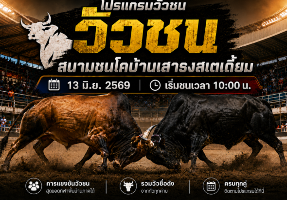 โปรแกรมวัวชน วันที่ 13 มิ.ย. 2569 สนามชนโคบ้านเสาธงสเตเดี้ยม | เริ่มชนเวลา 10:00 น.