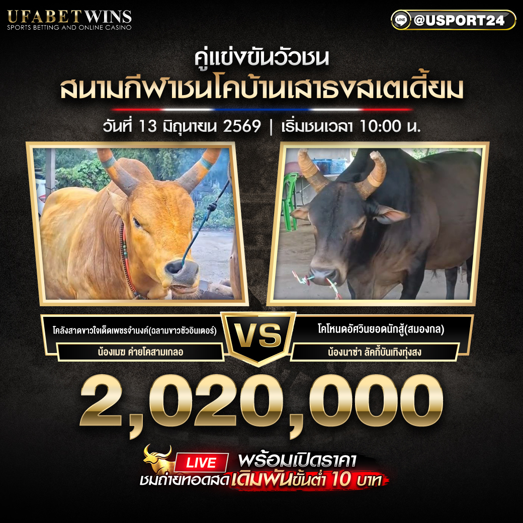 โปรแกรมวัวชน วันที่ 13 มิ.ย. 2569 สนามชนโคบ้านเสาธงสเตเดี้ยม | เริ่มชนเวลา 10:00 น.