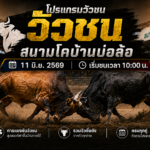 โปรแกรมวัวชน วันที่ 11 มิ.ย. 2569 สนามโคบ้านบ่อล้อ