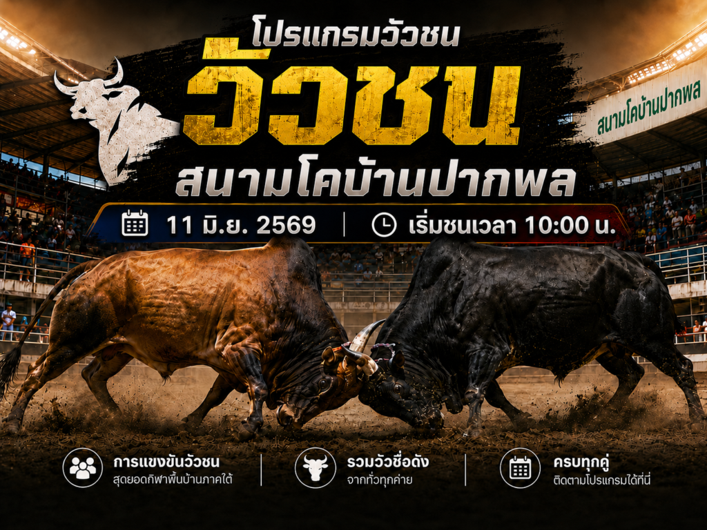 โปรแกรมวัวชน วันที่ 11 มิ.ย. 2569 สนามโคบ้านปากพล | เริ่มชนเวลา 10:00 น.