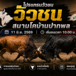 โปรแกรมวัวชน วันที่ 11 มิ.ย. 2569 สนามโคบ้านปากพล | เริ่มชนเวลา 10:00 น.