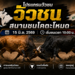 โปรแกรมวัวชน วันที่ 15 มิ.ย. 2569 สนามชนโคตะโหมด | เริ่มชนเวลา 10:00 น.