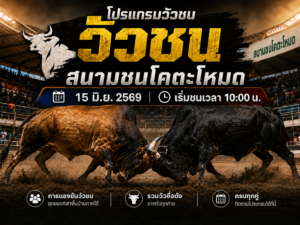 โปรแกรมวัวชน วันที่ 15 มิ.ย. 2569 สนามชนโคตะโหมด | เริ่มชนเวลา 10:00 น.